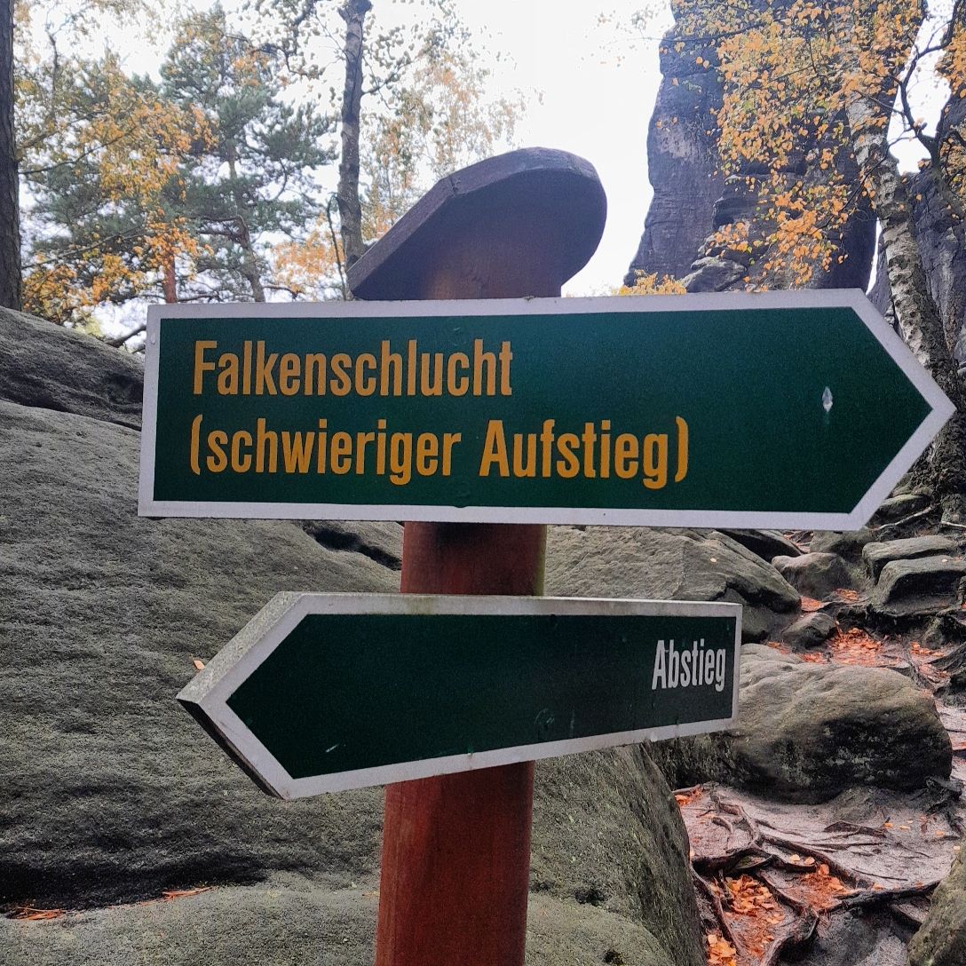 Falkenschlucht – check